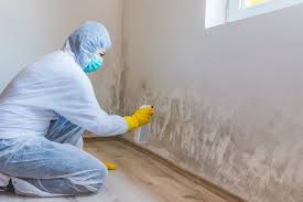 Best Emergency Mold Remediation  in Highlands, TX