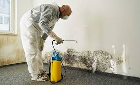 Mold Odor Removal Services in Highlands, TX